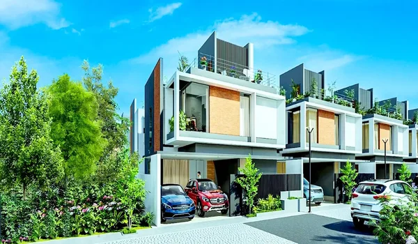 Featured Image of About Merusri Antelopes