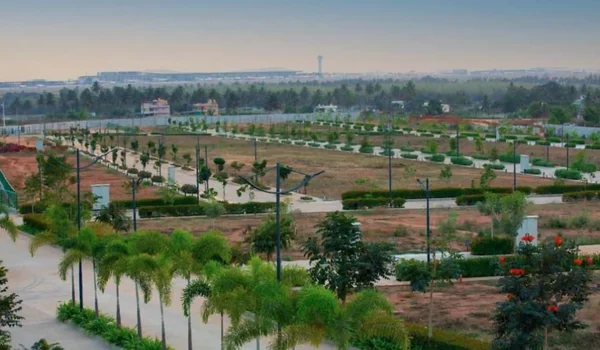 Featured Image of Merusri Antelopes Boodihal